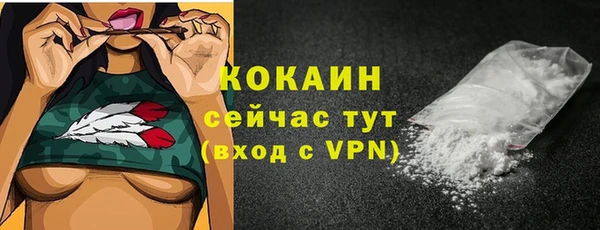 дживик Новодвинск