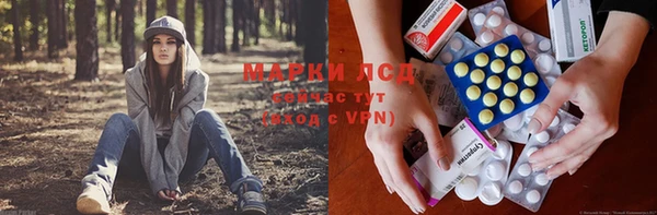тгк Новокубанск