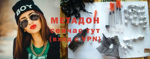 прущие грибы Абаза