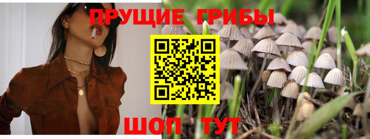 Псилоцибиновые грибы Psilocybe  Вход с VPN  Тольятти  Псилоцибиновые грибы MAGIC MUSHROOMS 